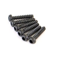 10238/Round Head Self Tapping Hex Screw 6pcs2*10