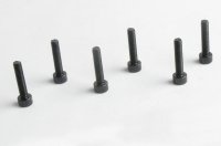 10244/Cap Head Hex Screw 6pcM3*14